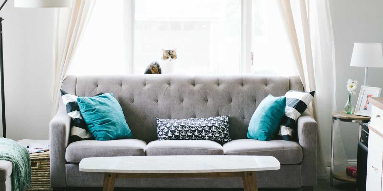 Grå soffa med turkosa kuddar i vardagsrum