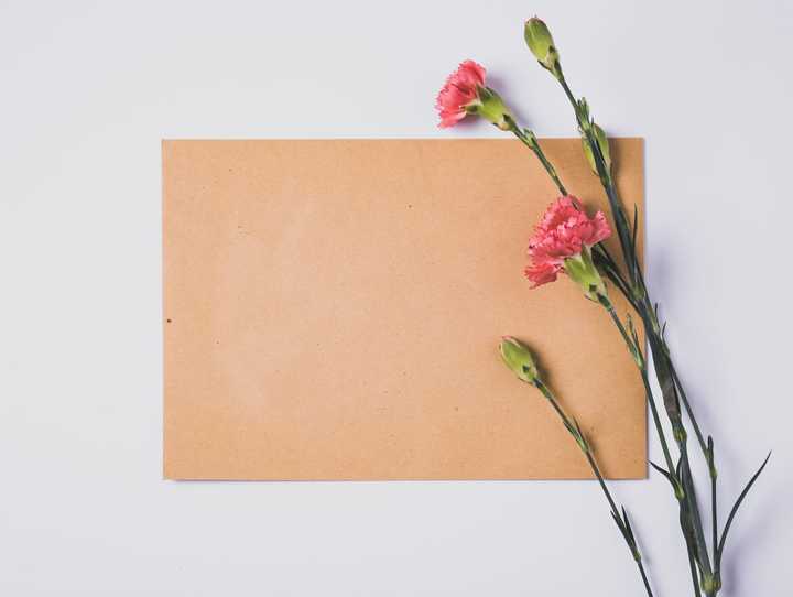 Brev med rosa nejlikor