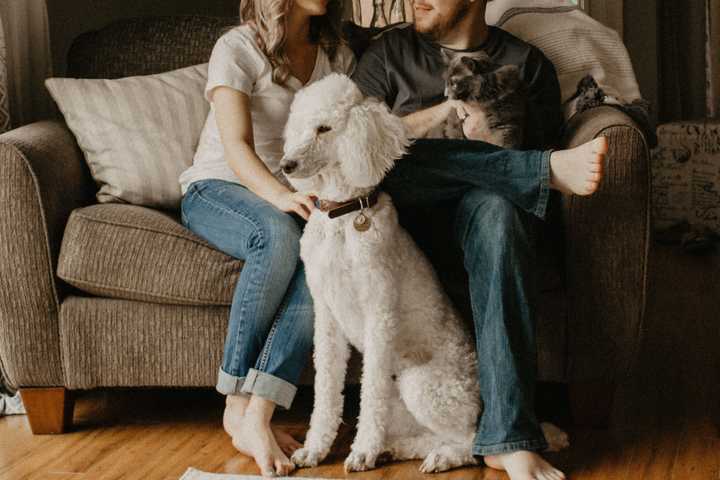 Pariskunta istuu sohvalla koira edessään