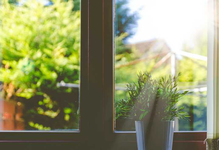 Auringon säteet paistavat ikkunasta sisään ja ikkunalaudalla olleeseen viherkasviin.