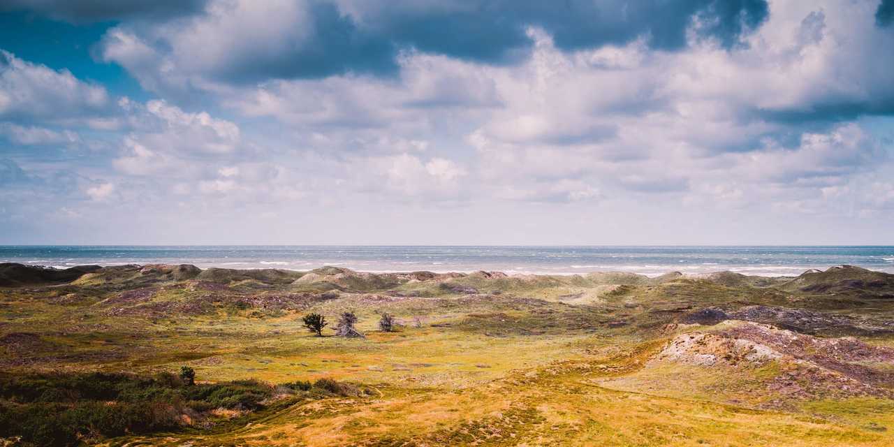 Landskab