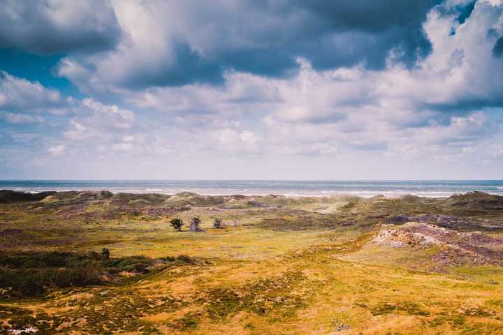 Landskab