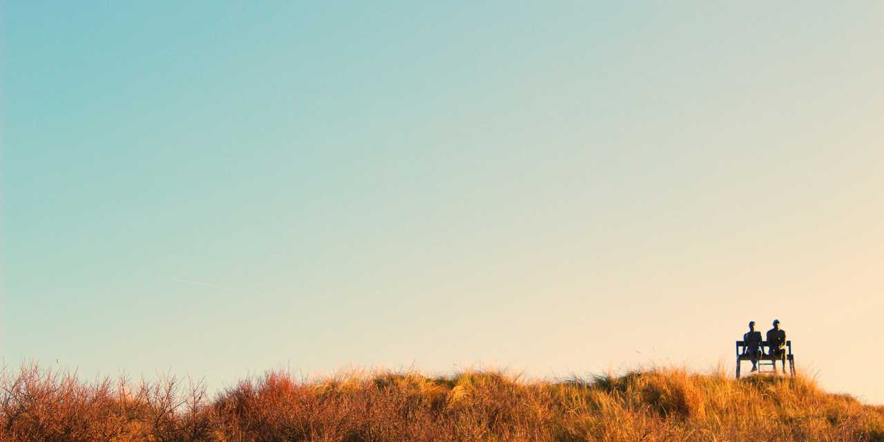 Two people sitting on a bench overruled by the blue sky and overgrown grass