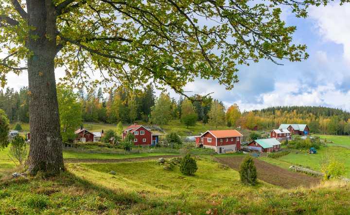 Sälja fastighet i dödsbo.jpg