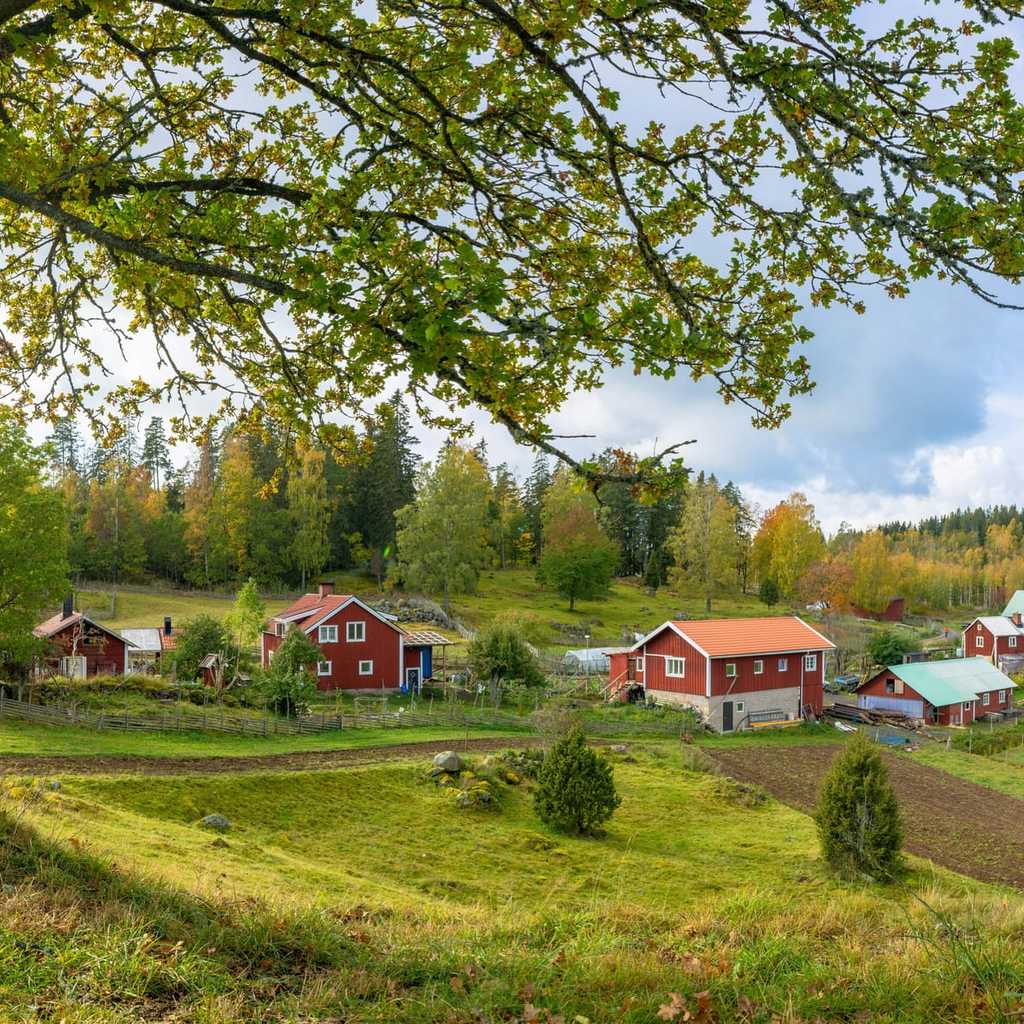 Överlåtelse av arv - gratis mall.jpg