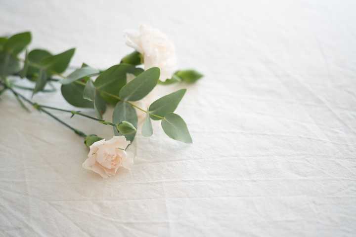 Valkoisia ruusuja hautajaisissa