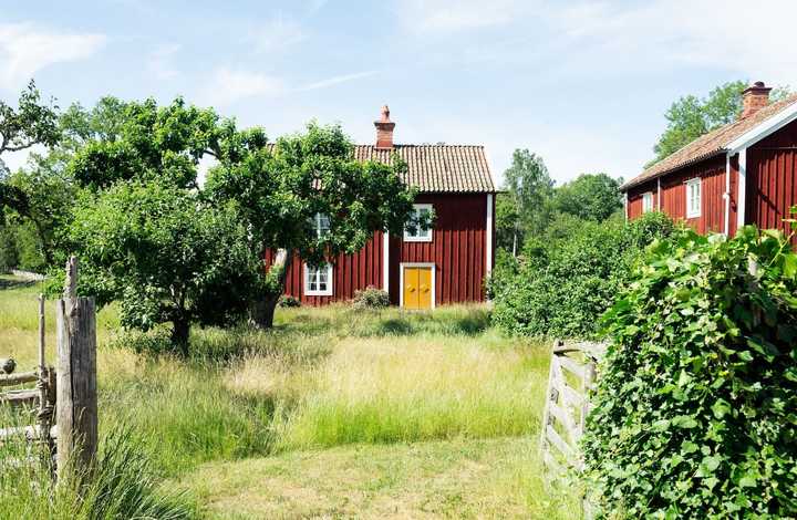 Röd stuga på landet