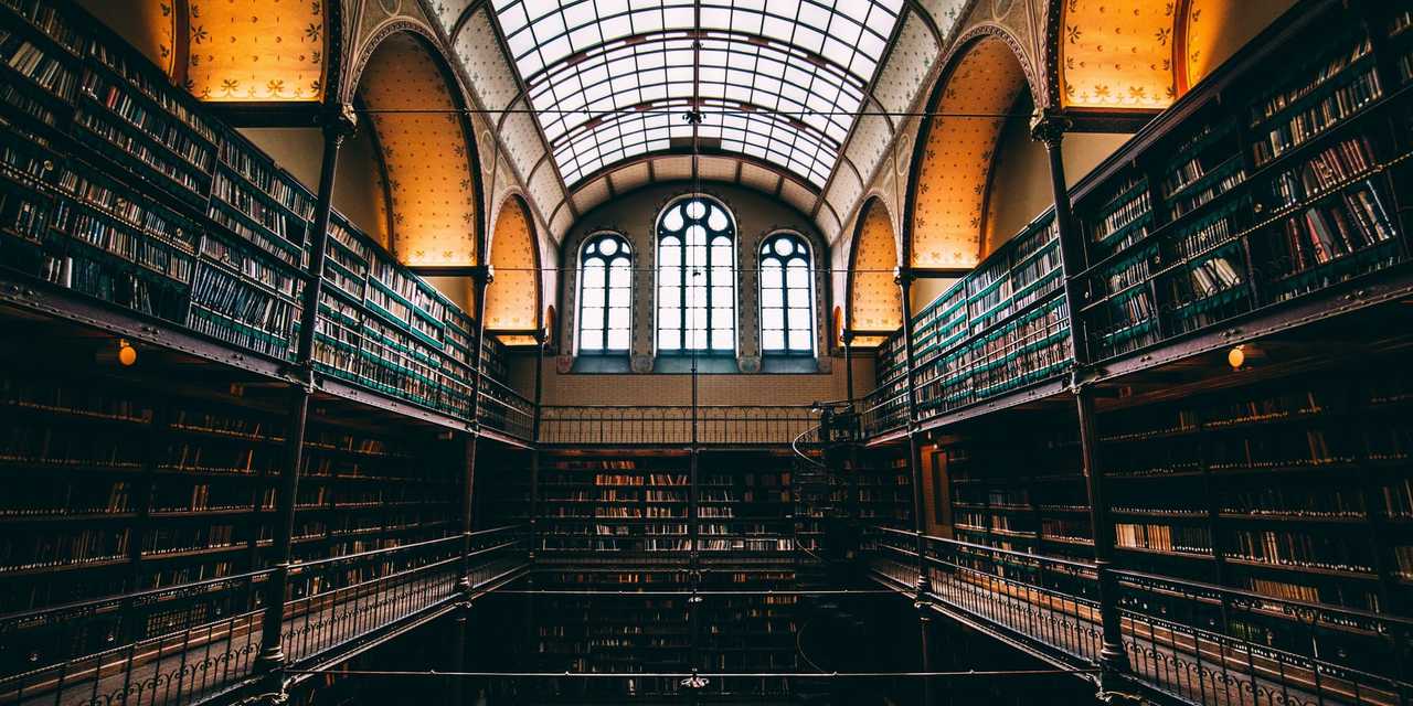 Bibliotek