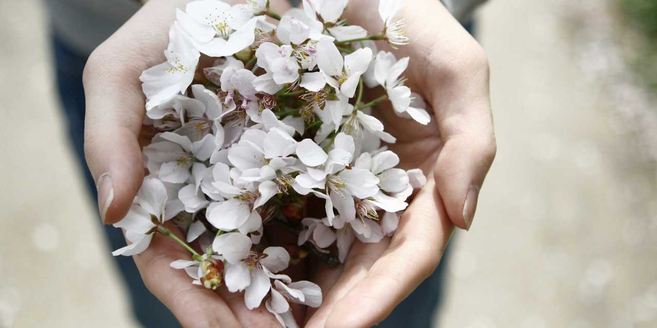 A woman holding flowers on the palm of hands
