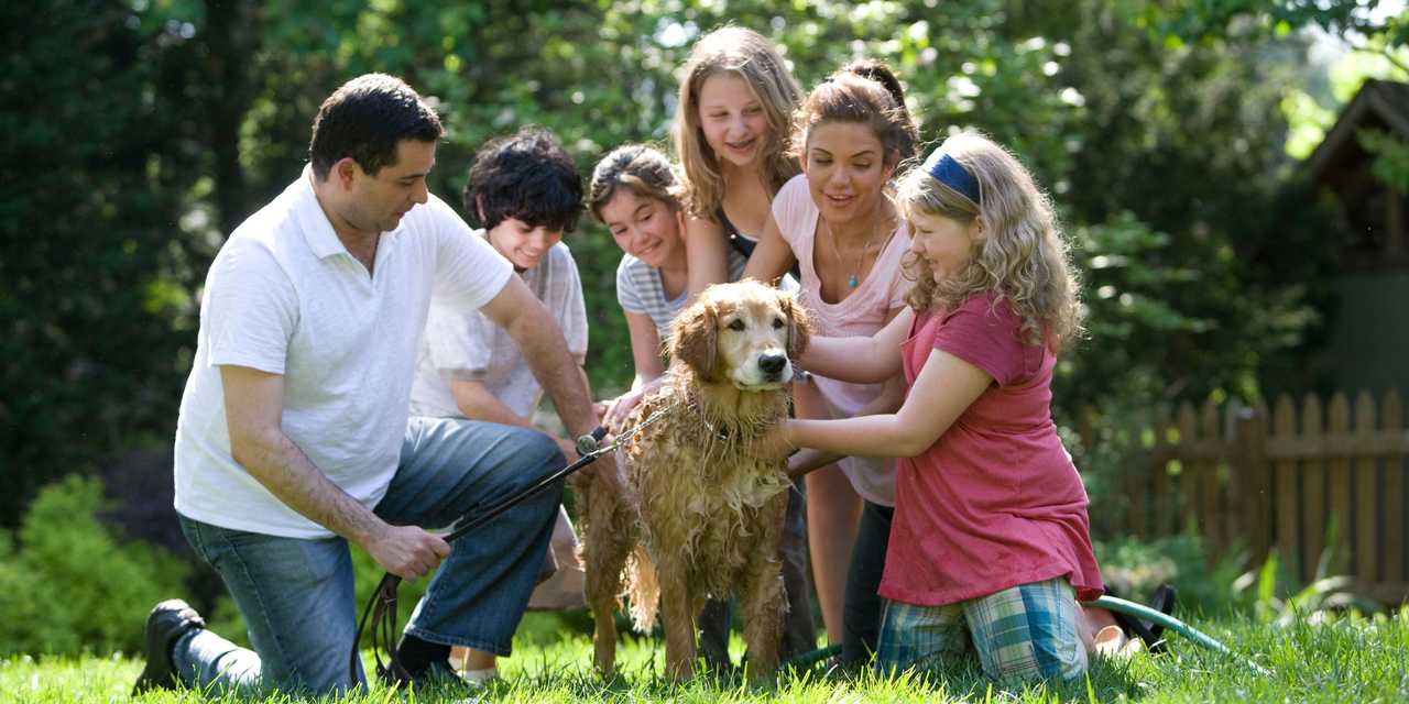Familj som samlas runt en hund i gröngräset