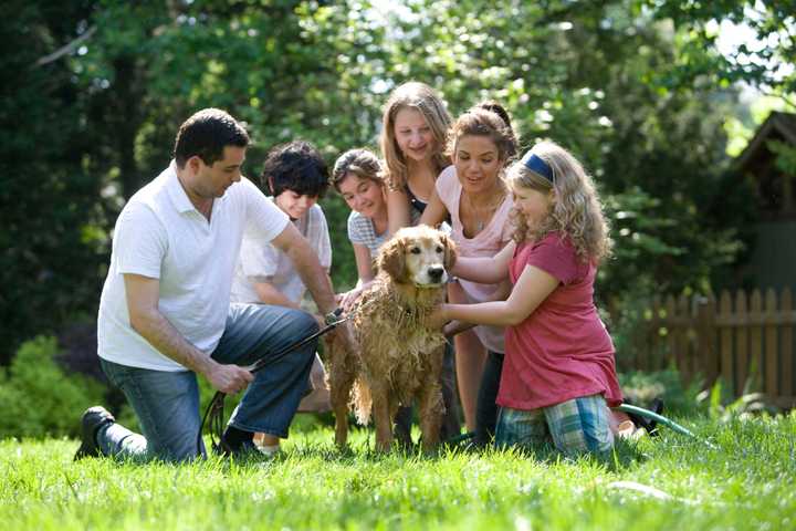 Familj som samlas runt en hund i gröngräset