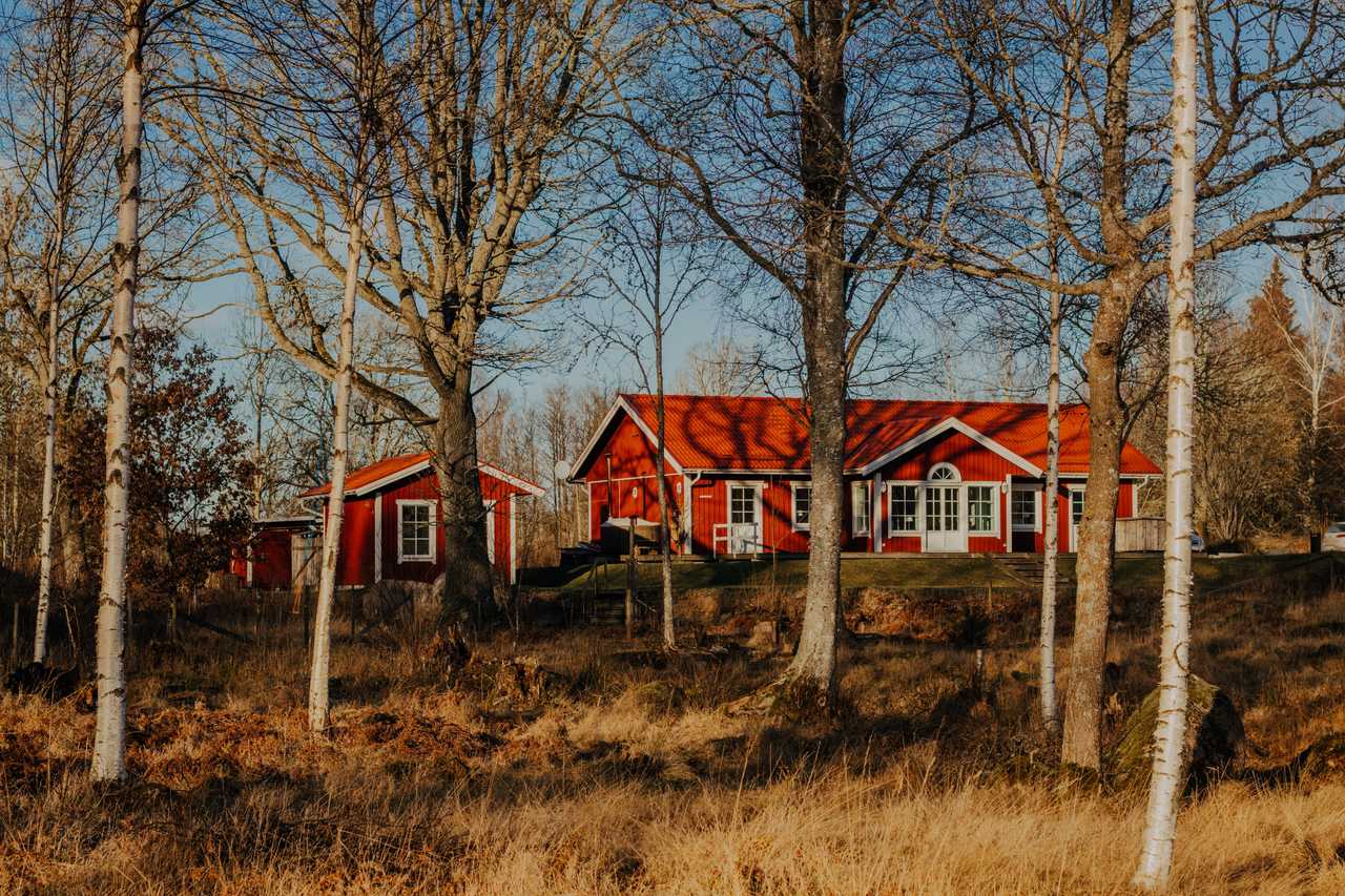 Rött hus med träd utan löv framför huset