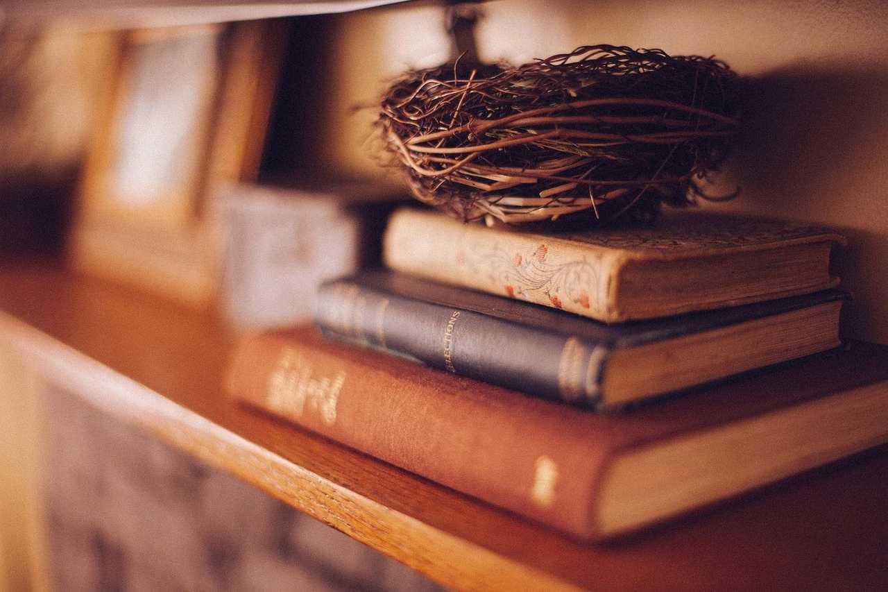 book-shelf.jpg