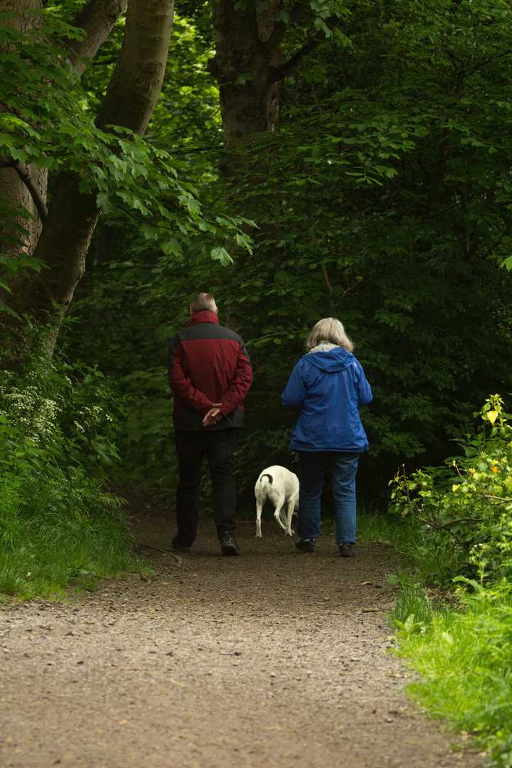 To personer og en hund.